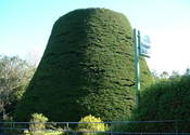 Main_thumb_2002_1017_0807-bucket