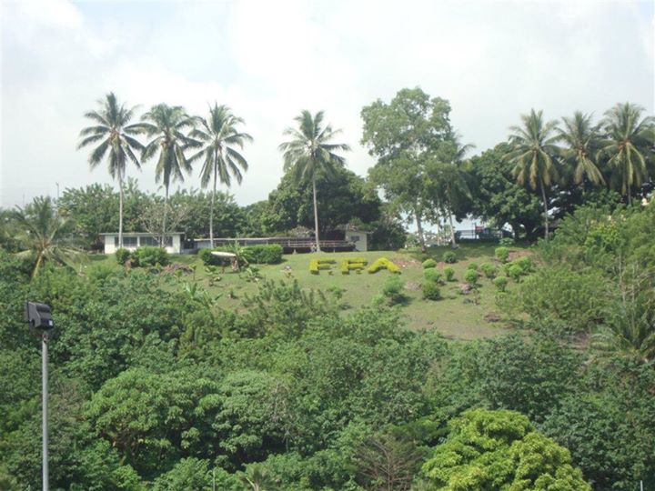 2012 OFC Nations Cup