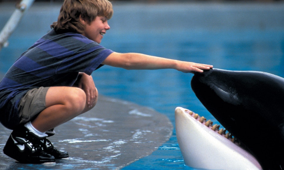 Free willy jesse nike shoes Outlet