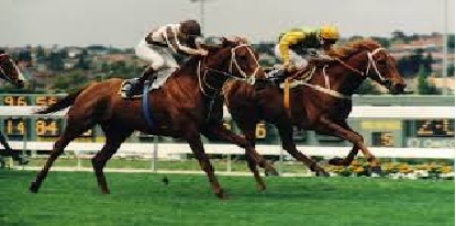 Rammtallica - Part 2