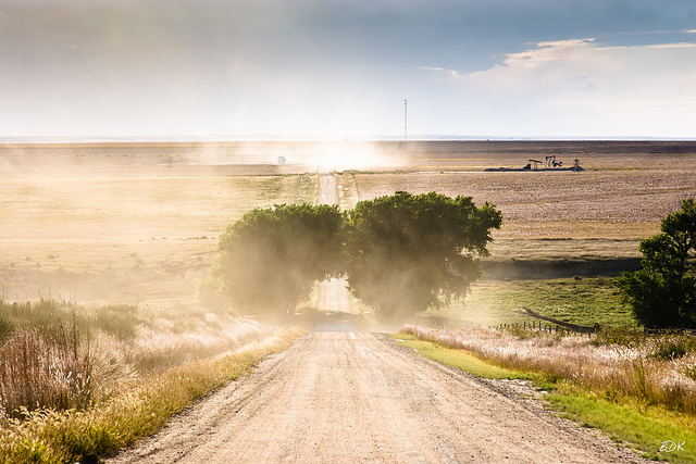 Dusty_Rhodes-10906-1